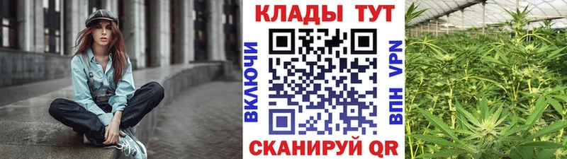 Купить закладку ГАШ  Cocaine  Alpha-PVP  LSD-25  Мефедрон  Канабис  Кольчугино